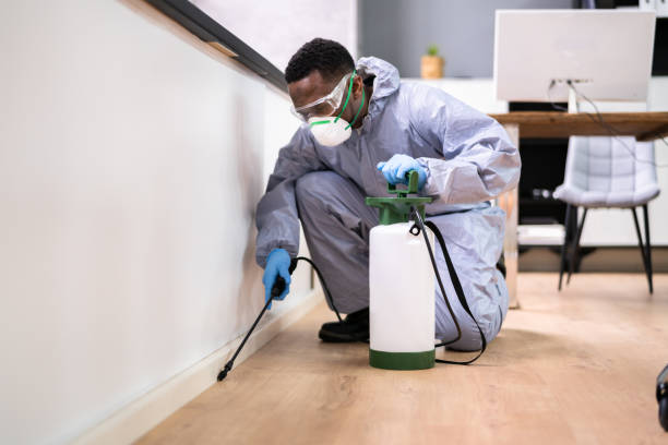 Best Commercial Pest Control  in Rock Island, IL